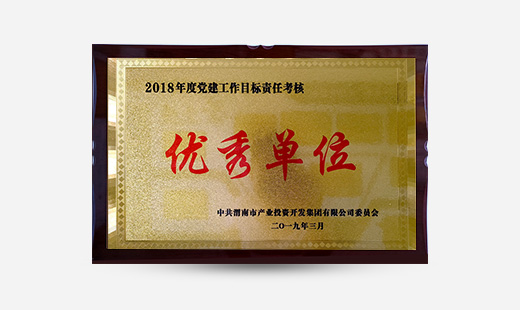 2018年度黨建工作目標(biāo)責(zé)任考核先進(jìn)單位